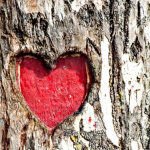 Πίνακες ξύλινοι με θέμα καρδιά. Βάλε αγάπη πάνω στον τοίχο σου!